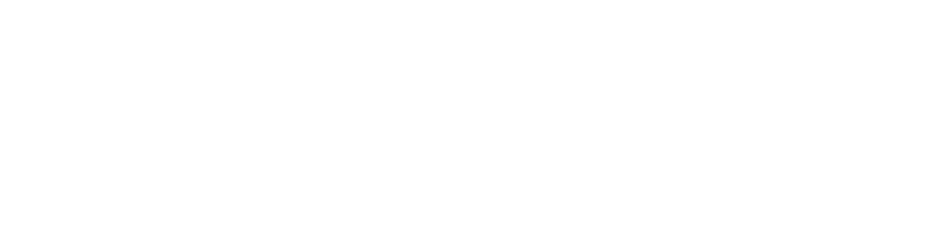 CALEY T60 Company logo white